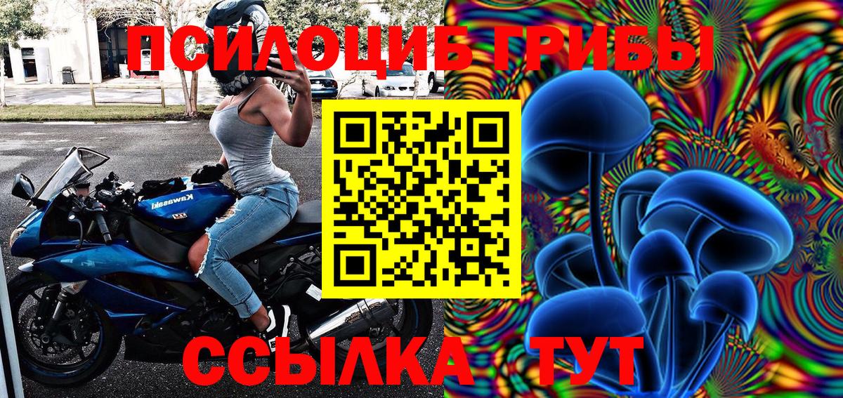Рубцовск  Псилоцибиновые грибы прущие грибы  как найти закладки  Вход с VPN  Псилоцибиновые грибы прущие грибы 