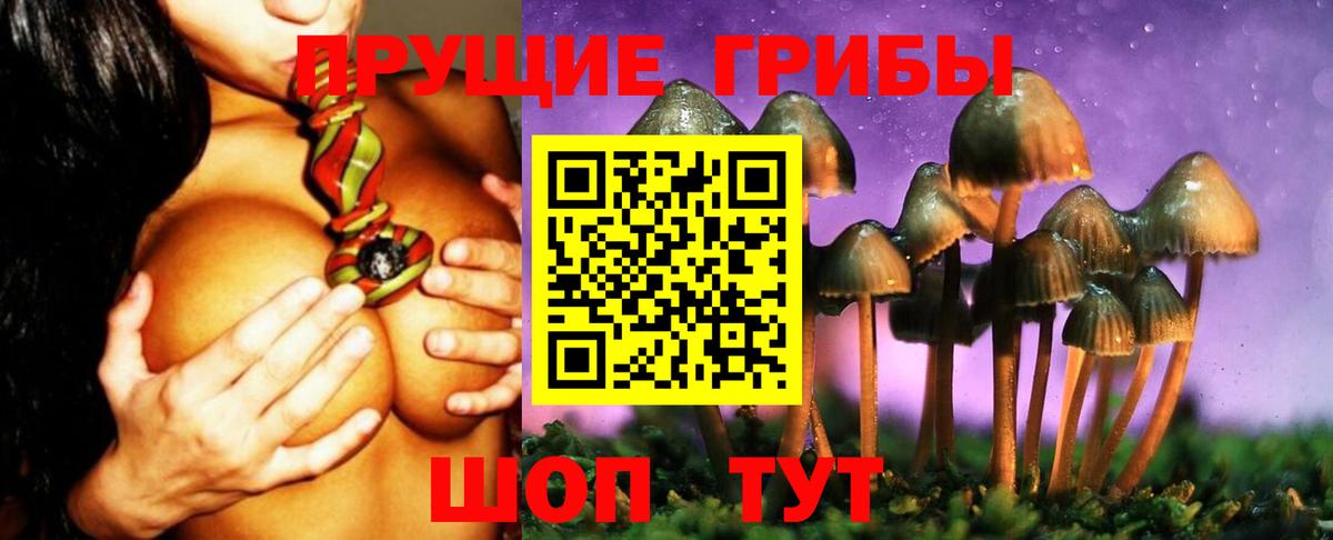 Псилоцибиновые грибы ЛСД Рубцовск